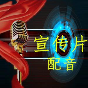 黑龍江企業宣傳公司總結企業宣傳片制作配音細節要求